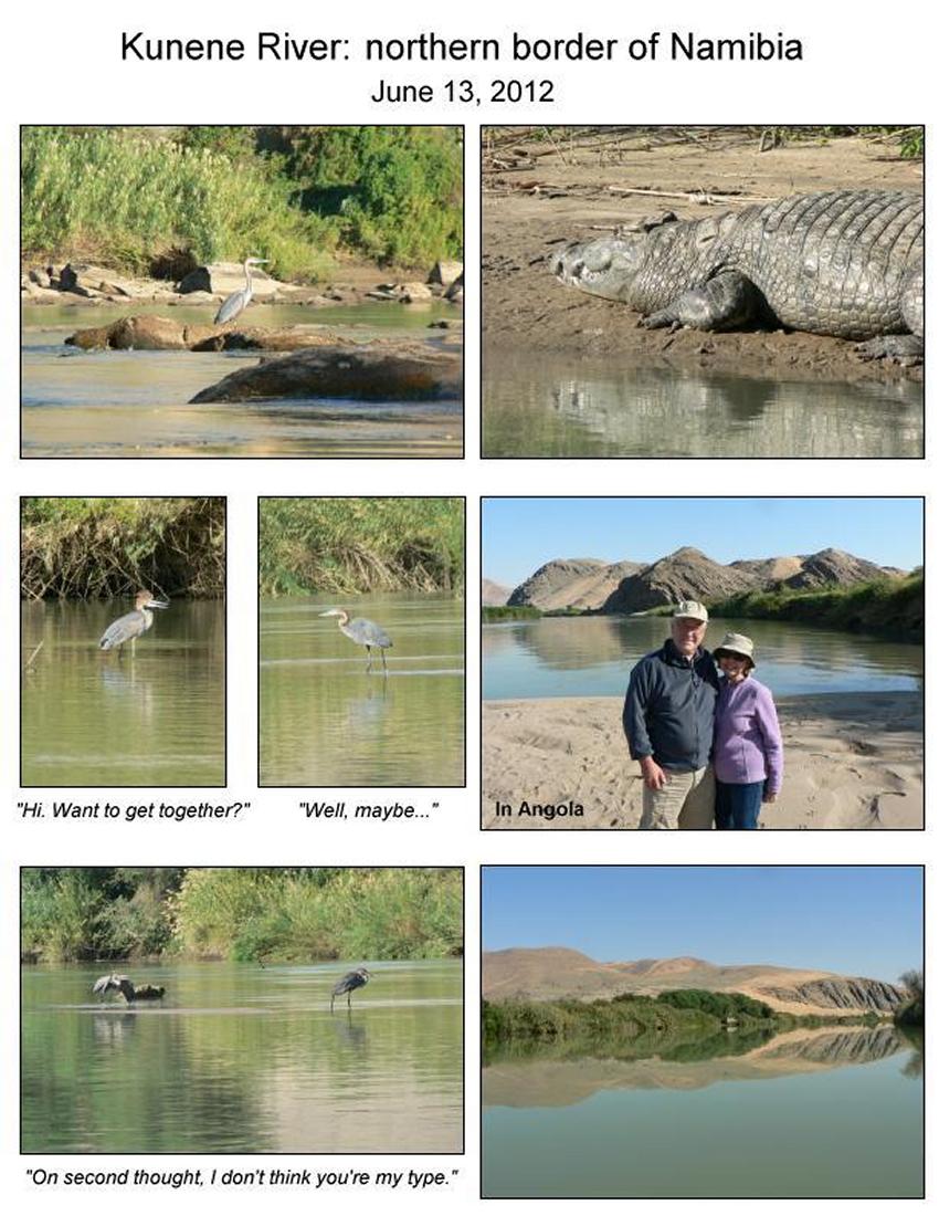 Kunene River had birds and crocodiles