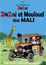 Zinzin-Mouloud-au-Mali