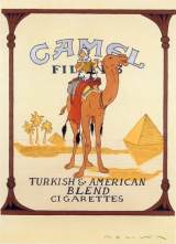 Camel cigarettes cover by Joost Veerkamp
