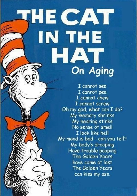 Cat-in-hat-on-aging.jpg