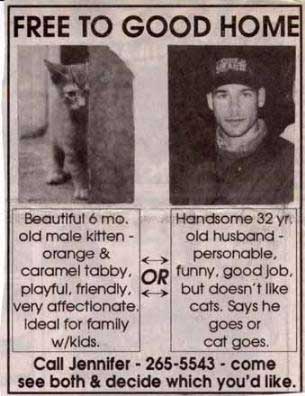 Free cat or husband