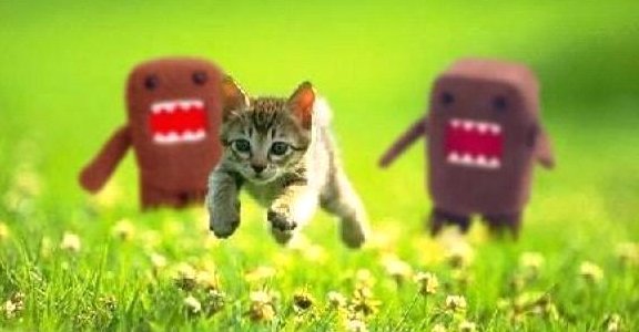 Funny cats #128. Kitten escaping from the scary aliens.