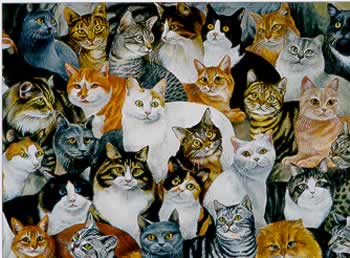 Just Cats 1000-piece jigsaw puzzle