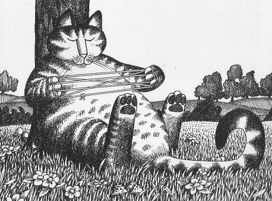 Cat drawing by B. Kliban, 1978