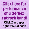 Click here for performance of Litterbox cat rock band.