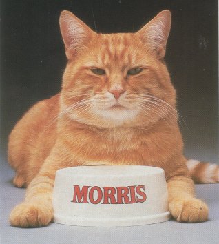  Designlogo on Photo Of Finicky Morris The Cat