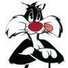 Sylvester the cat