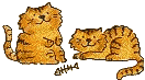Cats with fish bone
