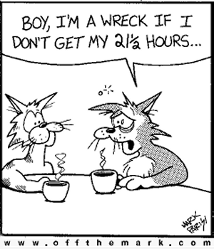 Cat wreck cartoon by Mark Parisi
Click to visit his web site.