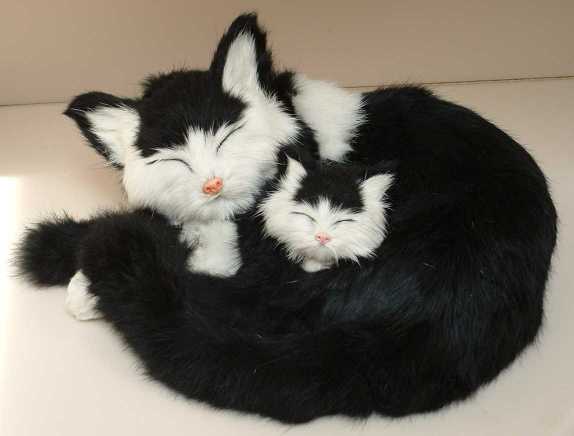 Stuffed kitties