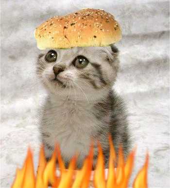 Kitty burger