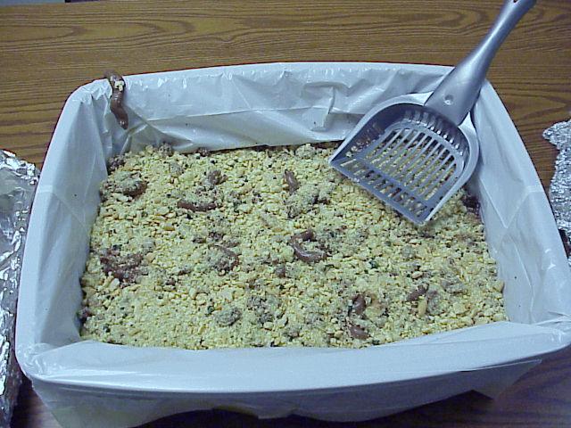 Kitty Litter Cake