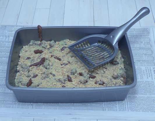 Kitty Litter Cake