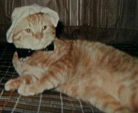 Mr. GQ in his favorite hat and tie.