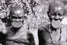 Ubangi saucerlips natives