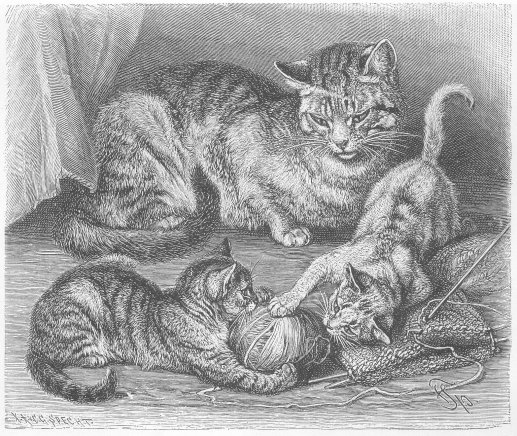 1800's drawing of cat watching kittens with a ball of yarn.