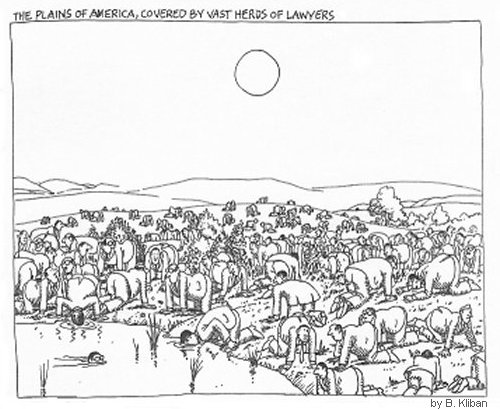 Kliban Lawyer Herds