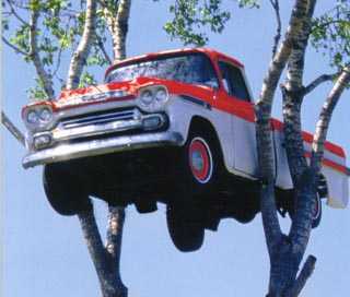 Truck in a tree