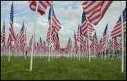 Healing Field of 3031 Flags honors 9/11 victims